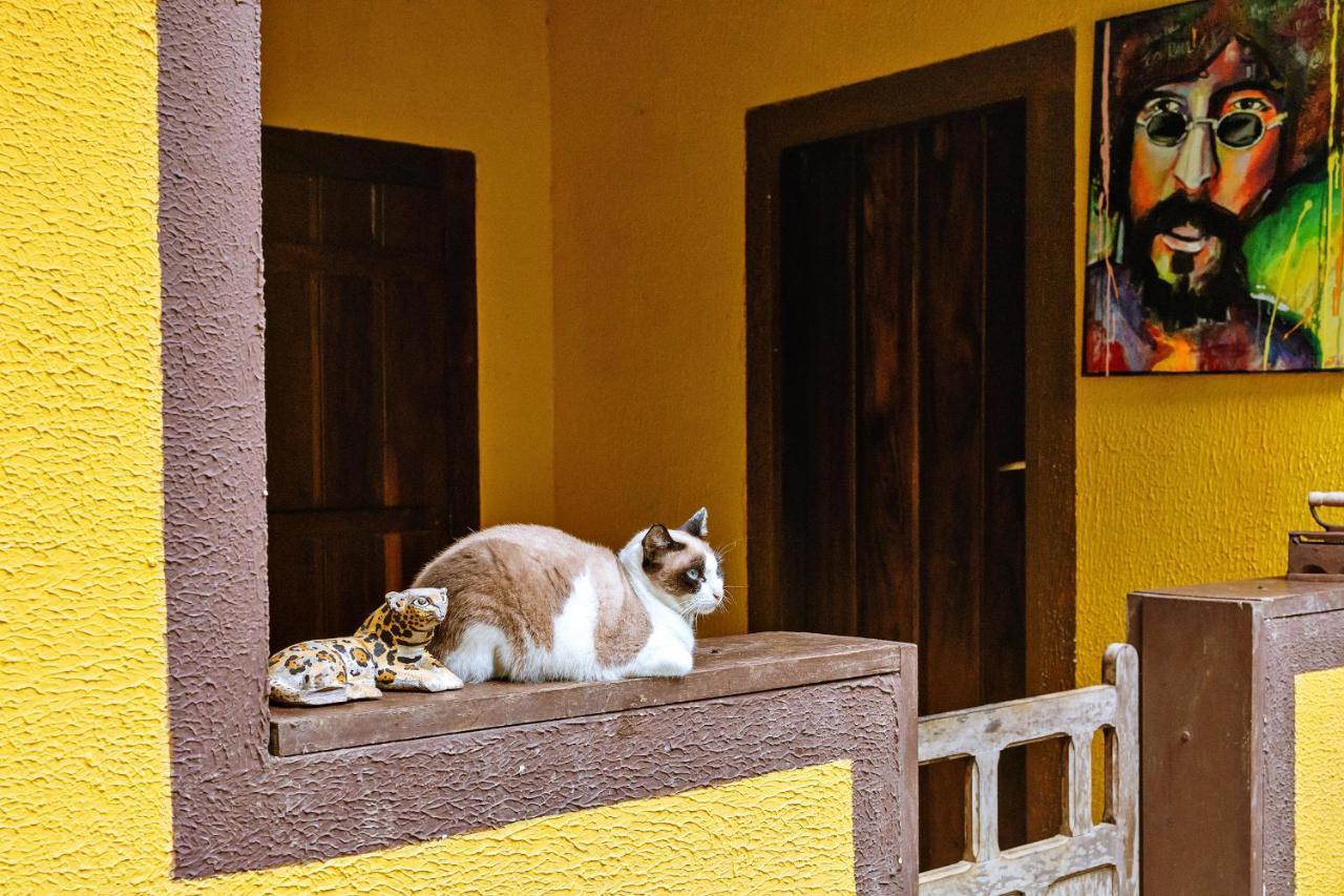Chales Sol Paraty Araquari Exterior foto