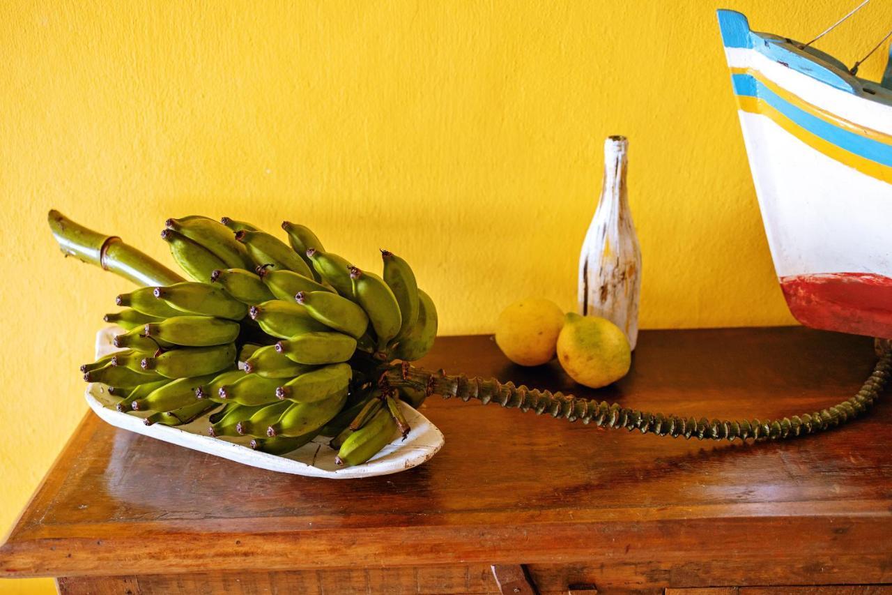 Chales Sol Paraty Araquari Exterior foto