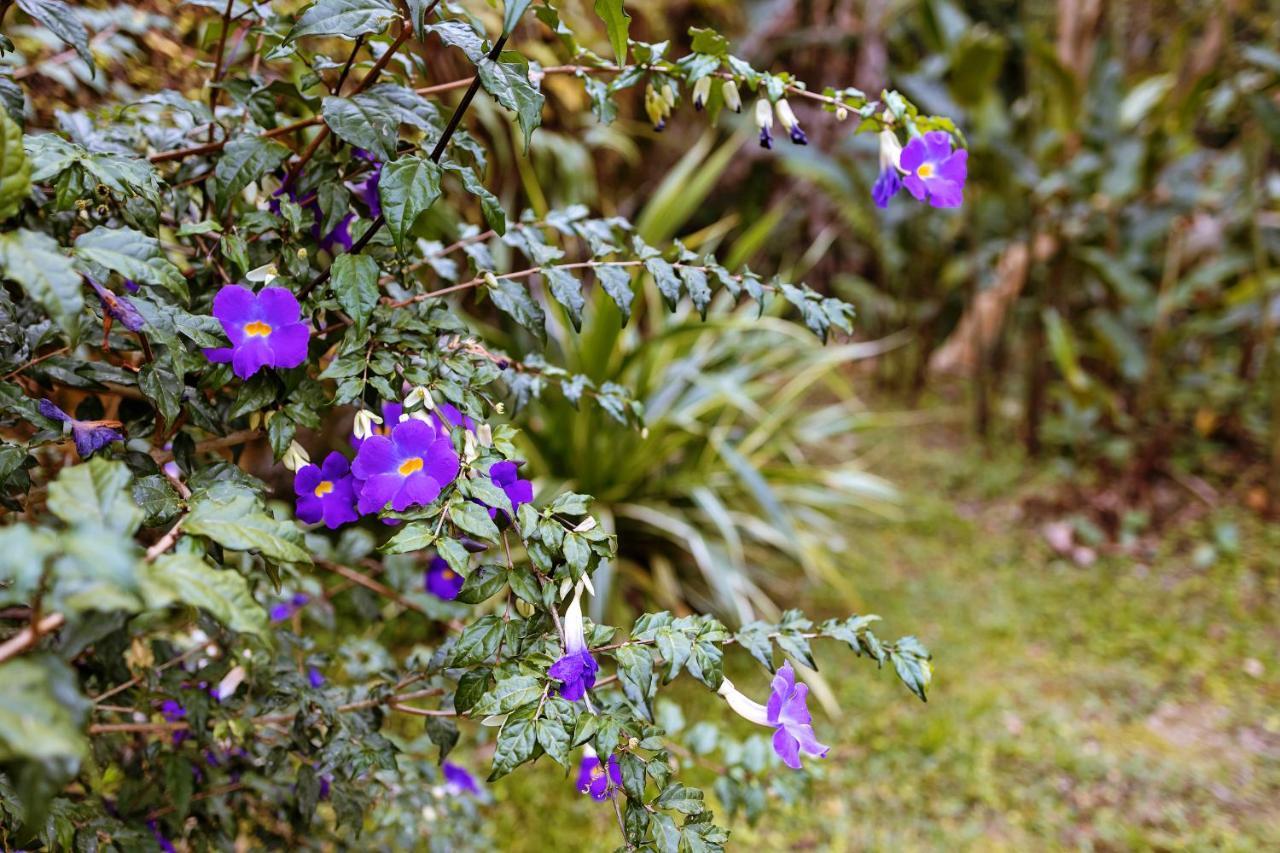 Chales Sol Paraty Araquari Exterior foto