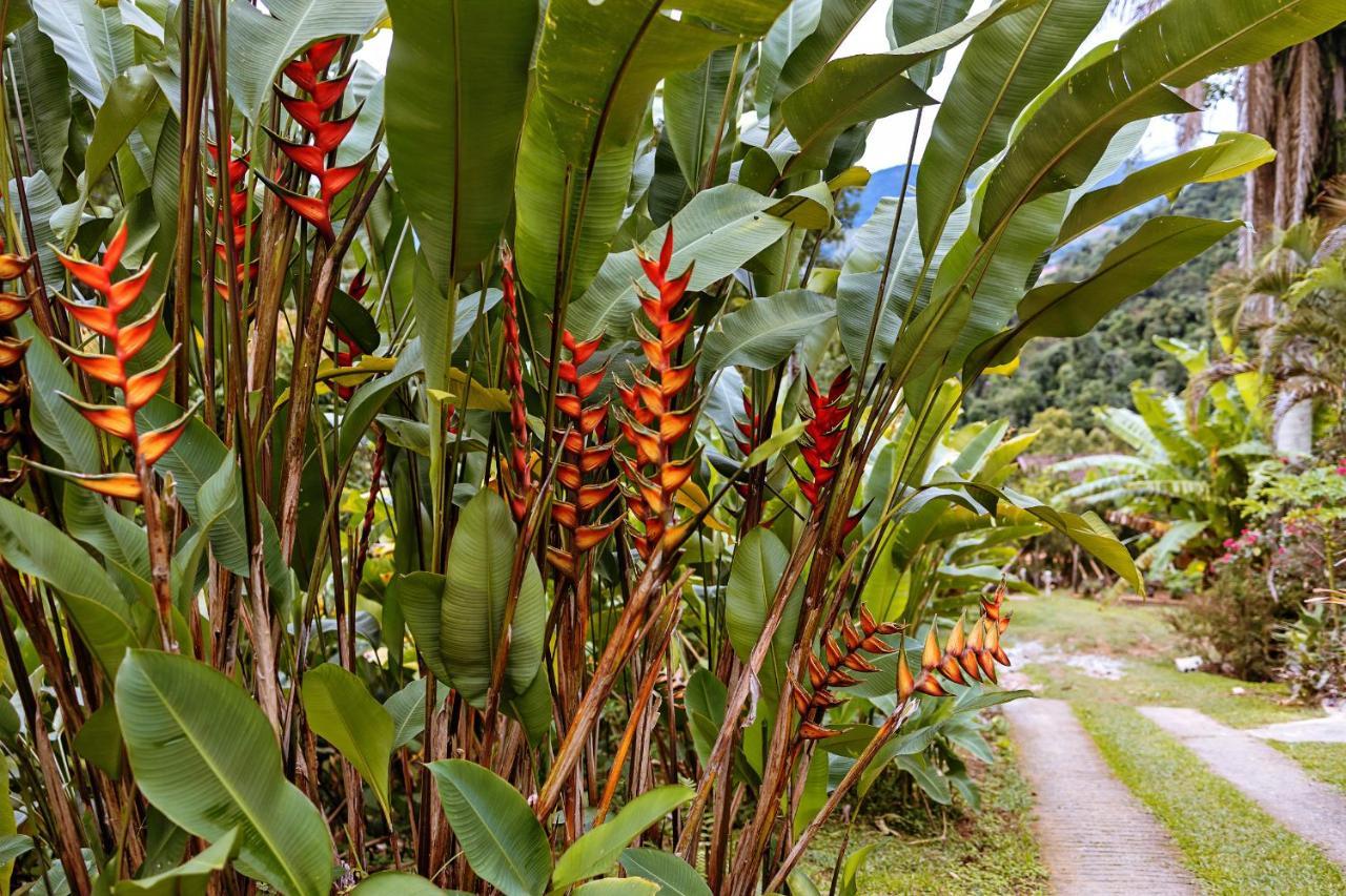 Chales Sol Paraty Araquari Exterior foto